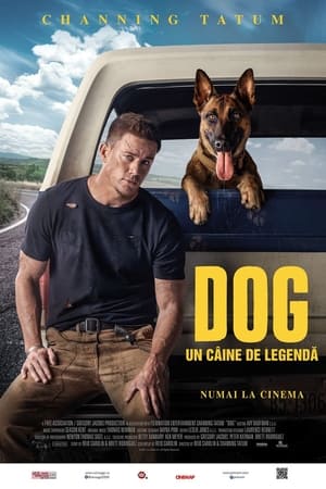 Poster Dog. Un câine de legendă 2022