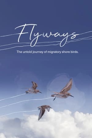 Poster Flyways 2023
