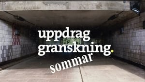 poster Uppdrag granskning sommar