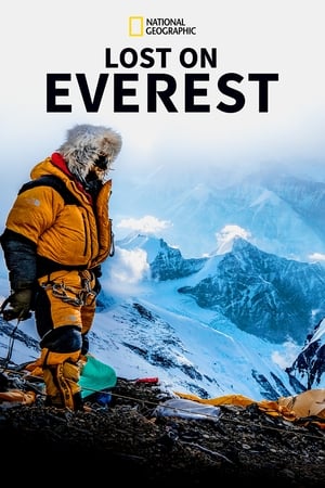 Poster Ztraceni na Everestu 2020