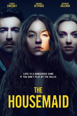 poster The Housemaid