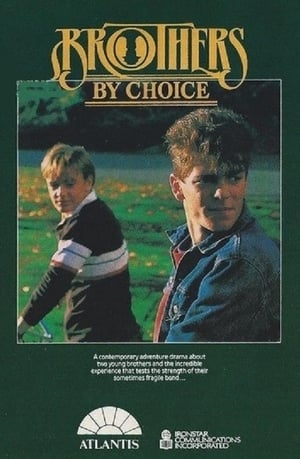Poster Brothers by Choice (1986)