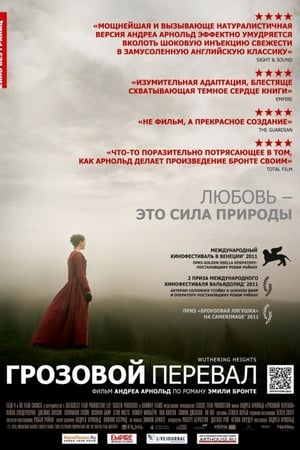 Poster Грозовой перевал 2011