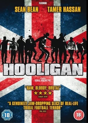 Poster Hooligan 2012