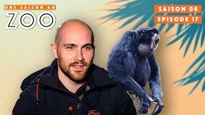 Episode 17