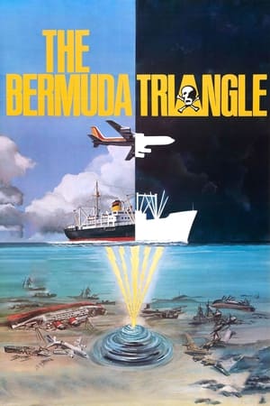 Image The Bermuda Triangle