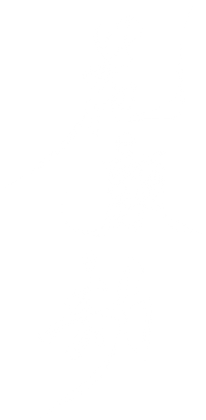 花颜劫 — Logos 1