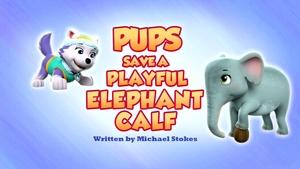 PAW Patrol Pups Save a Playful Elephant Calf