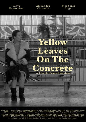 Yellow leaves on the concrete (2025)