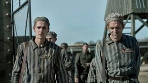 The Tattooist of Auschwitz ( 2024 )