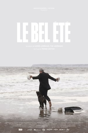 Le bel été 2019