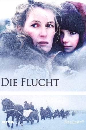 Poster Die Flucht 2007