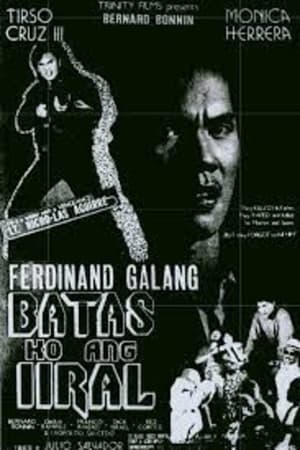 Poster Lt. Nicholas Aguirre: Batas ko ang iiral (1992)