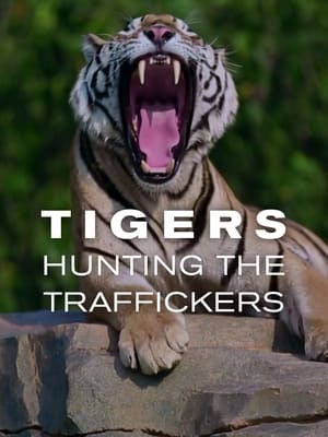 Image Tigers: Hunting the Traffickers