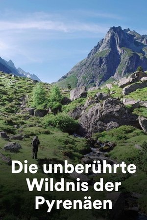 Image Die unberührte Wildnis der Pyrenäen