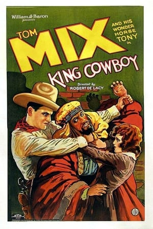 Poster King Cowboy (1928)
