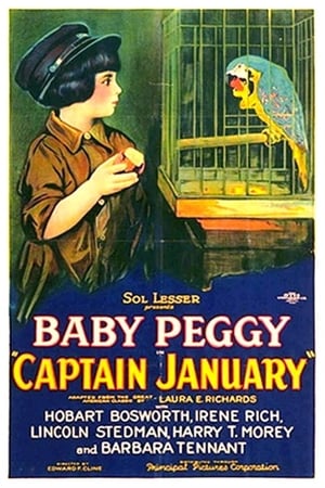 Captain January poster