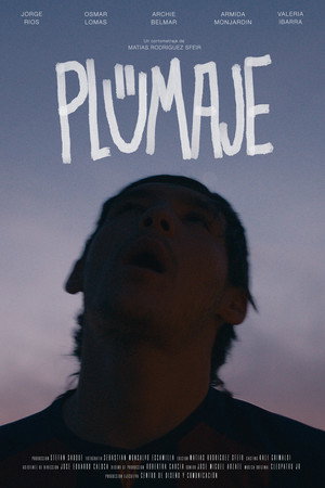 Plumaje 4