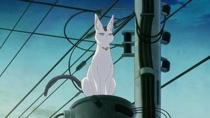 Épisode 14