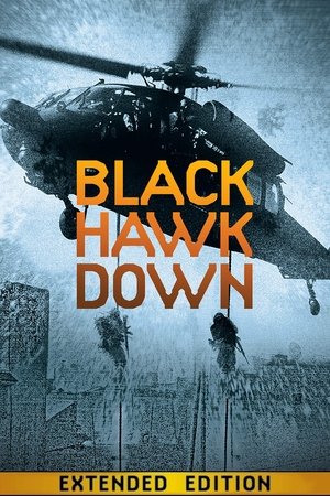 poster Black Hawk Down