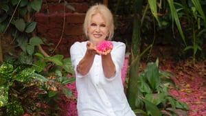 Joanna Lumley's Spice Trail Adventure India