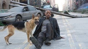 I Am Legend 2007