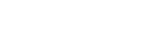 Nanny Seduction — Logos 1