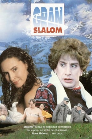 Poster Gran Slalom 1996