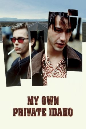 My Own Private Idaho (1991)