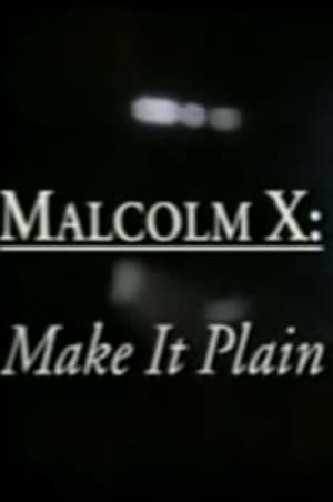 Poster Malcolm X: Make It Plain 1994