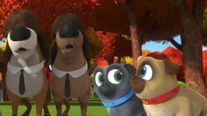 Puppy Dog Pals The Lab Four