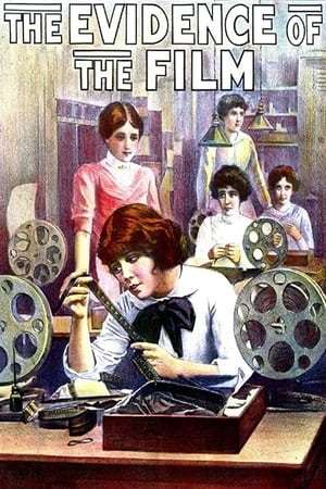 Poster The Evidence of the Film (1913)