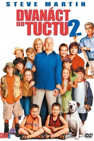 Dvanáct do tuctu 2 (2005)