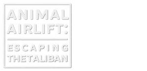 Animal Airlift: Escaping the Taliban