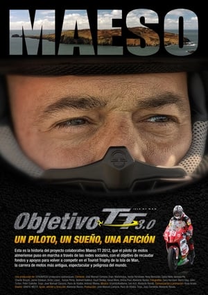 Poster Objetivo TT 3.0, un piloto, un sueño una afición 2012