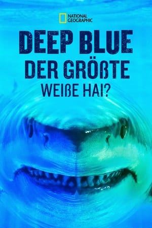 Der größte Weiße Hai? – Expedition Hawaii