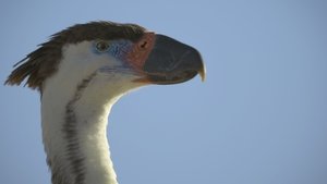 New Lands on Prehistoric Planet Season 3 Episode 2 – November 26, 2025