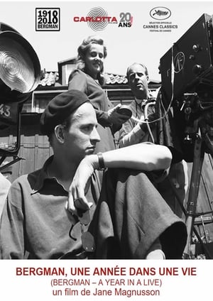 Image Bergman, une année dans une vie