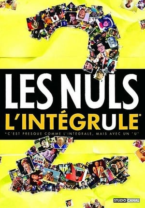 Image Les Nuls : L'Intégrule 2