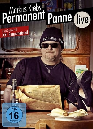 Poster Markus Krebs - Permanent Panne - Live (2017)