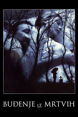 Poster Awakening from the Dead (2005)