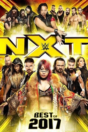 Poster NXT: Best of 2017 (2018)