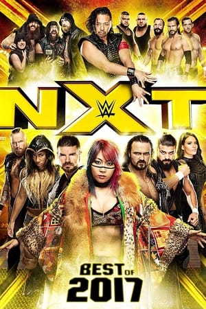 Poster NXT: Best of 2017 2018