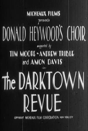 The Darktown Revue poster