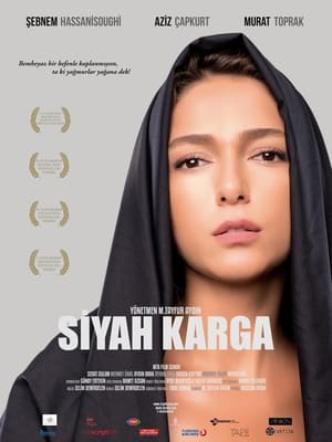 Poster Siyah Karga (2016)