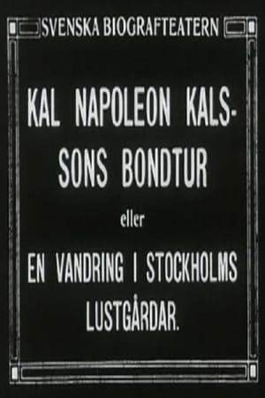 Kal Napoleon Kalsson's Farm Ride poster