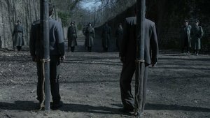 A French Village: 5×12