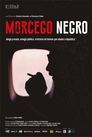 Poster Morcego Negro 2023