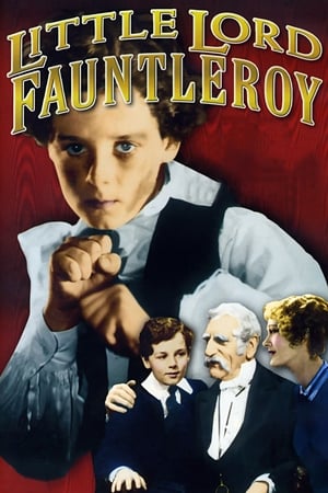 Image Little Lord Fauntleroy