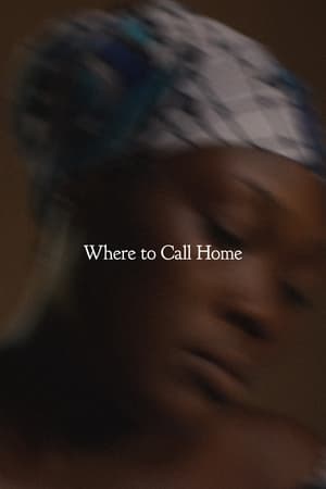 Poster Where to Call Home 